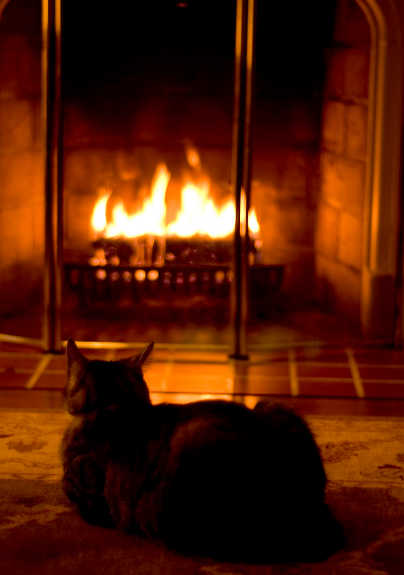 Warm Fire