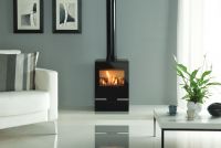 The Riva Vision Gas Stove