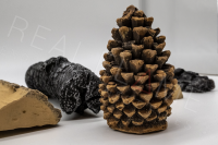 18" Luxury High Definition Charred Log Set