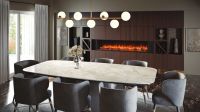 eReflex RW Inset Electric Fires
